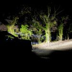 Quad Roof Lights For Ranger T9 - Night Shot